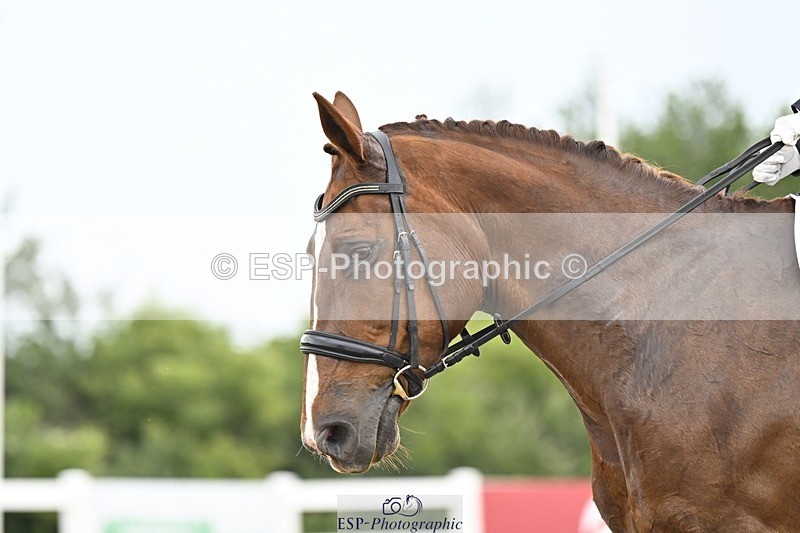 250621-120305-07831 - Cls 27 - Novice 6, Start to 12.20