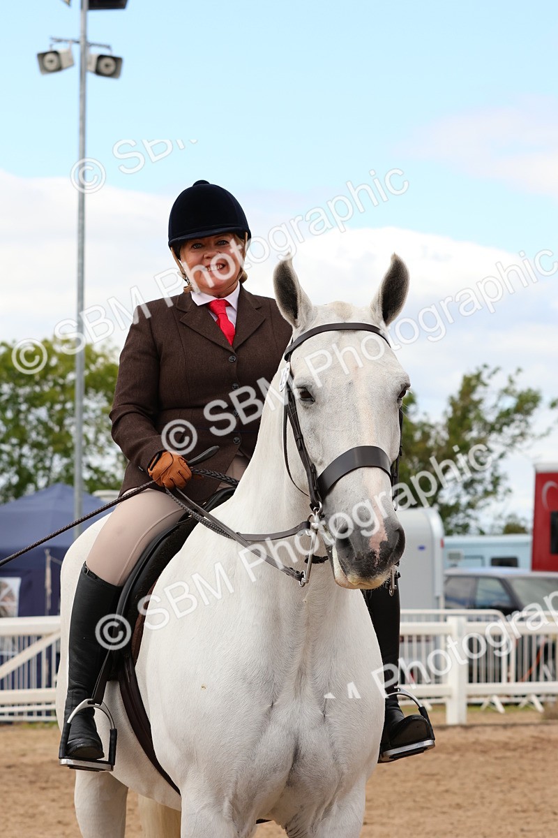SBM_15518 - Class 214 - Ridden Show Cob