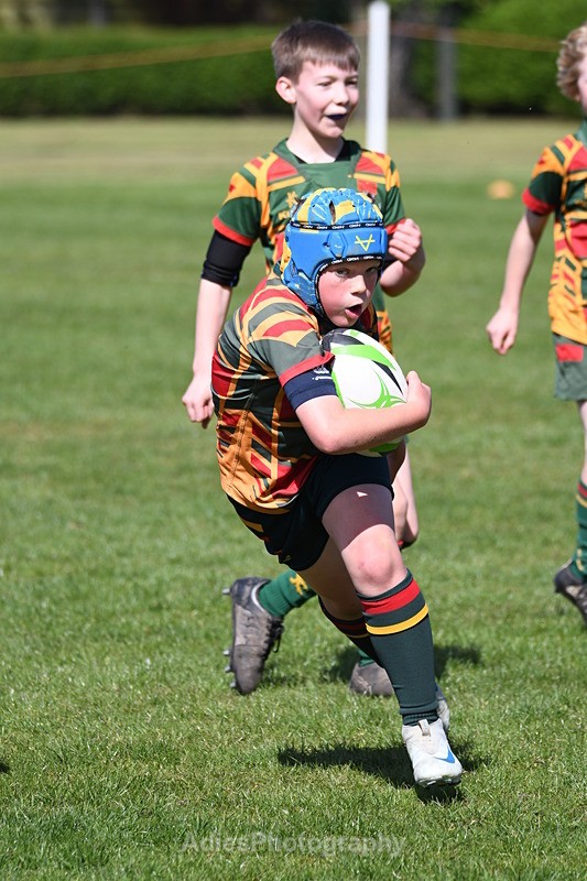  - Selby Rugby Festival 2025