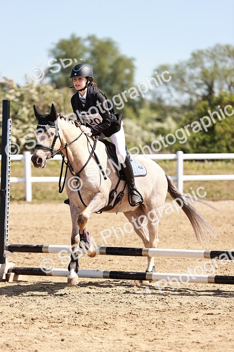 SBM_006937 - Class 2 - 50cm