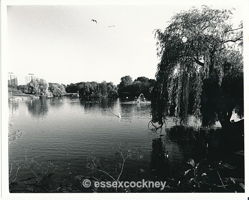  - Essex