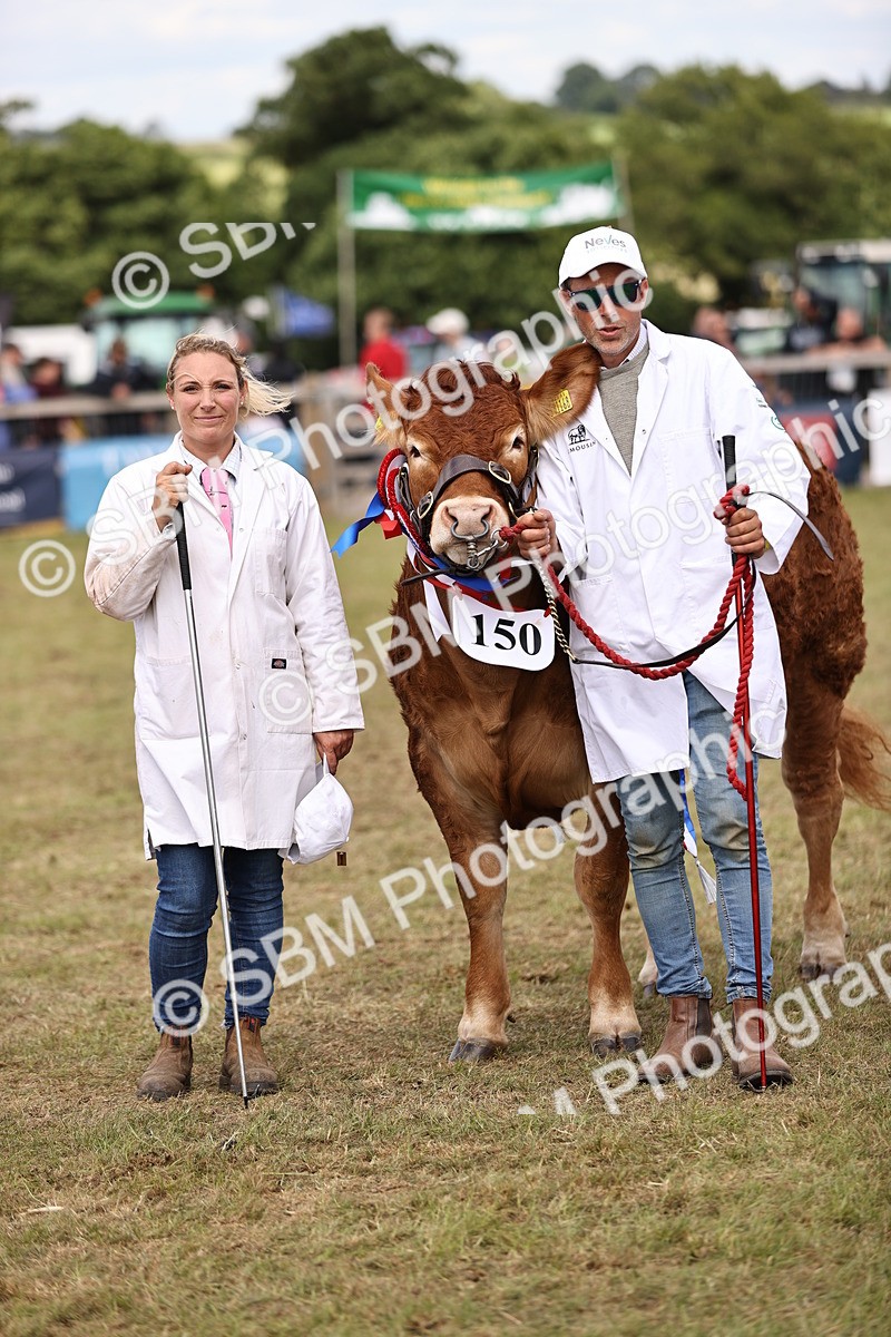 SBM_16943 - Grand Parade