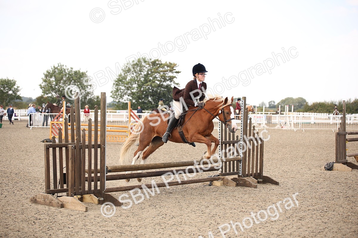 SBM_16024 - Class 408b - Working Veteran 70cm (20+)