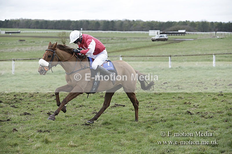 PtP 150320 0930 - New Forest Point-to-Point Larkhill 15/03/20