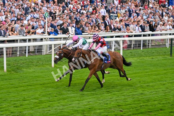 230825-Race 2-Tarriance-0025 - Race 2 2.25pm Sky Bet Melrose Handicap