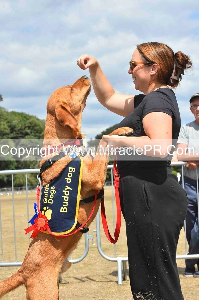 SH4_0264 - Dog show.