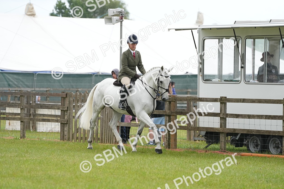 SBM_12646 - Class 97-98 - LIHS BSHA Rising Star Working Show Horse Hunter