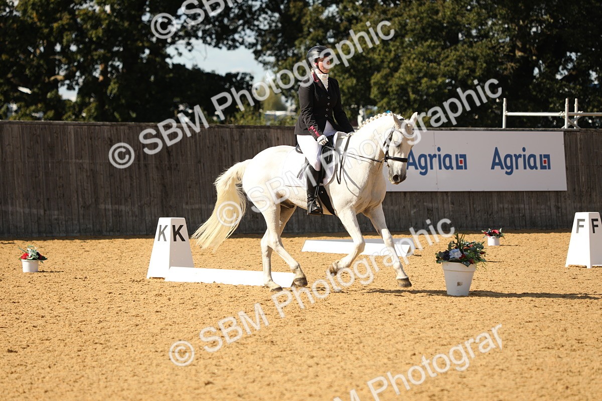 SBM_26536 - D17 - Grand Tour Championship - Novice 27