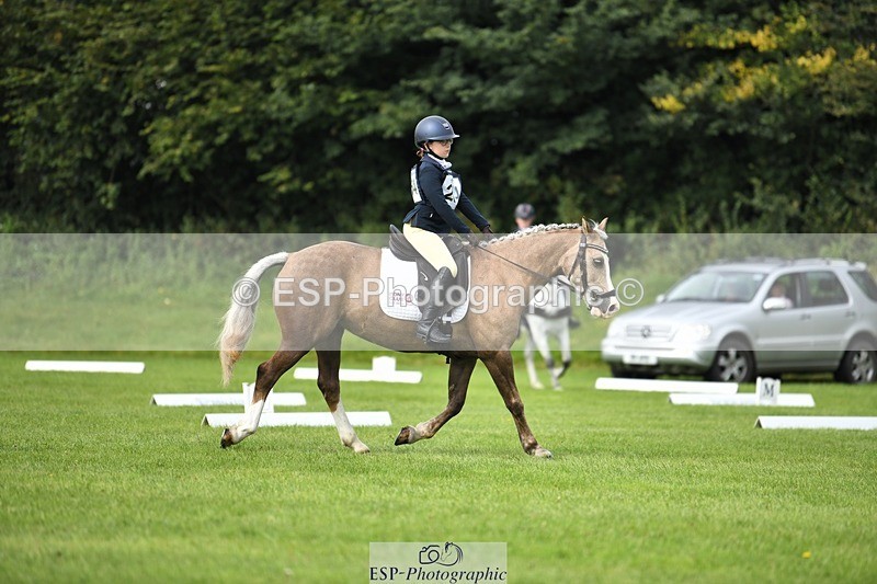 230826-102630-15478 - Sections C & D 10 to End