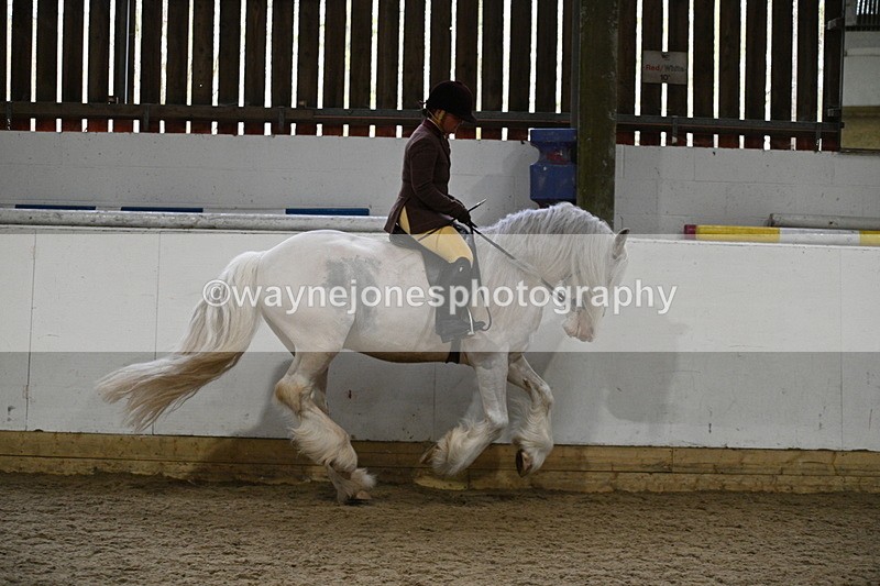 WJ7_3810 - Class 17 Ridden Cob