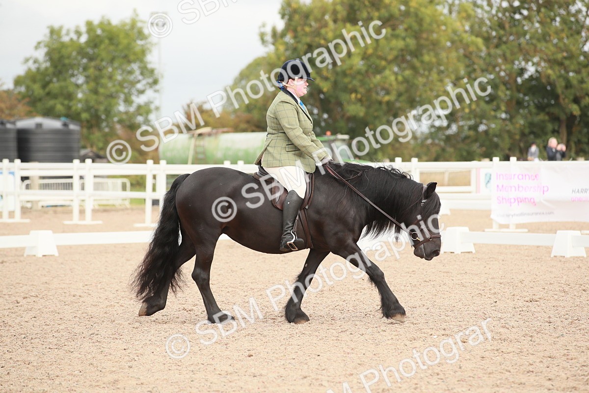 SBM_02550 - Class 30 - Intro 1