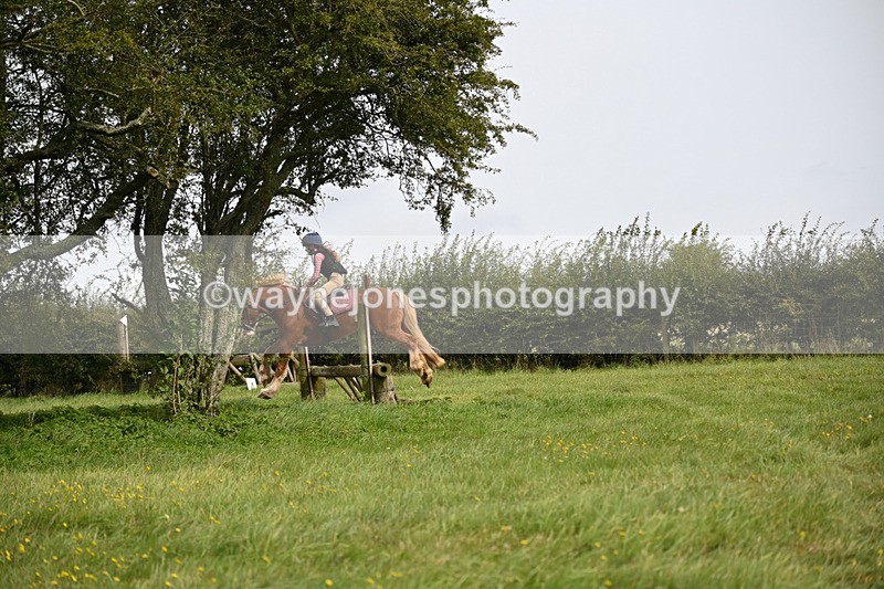 WJ6_8298 - Time 12:18 to 12:59