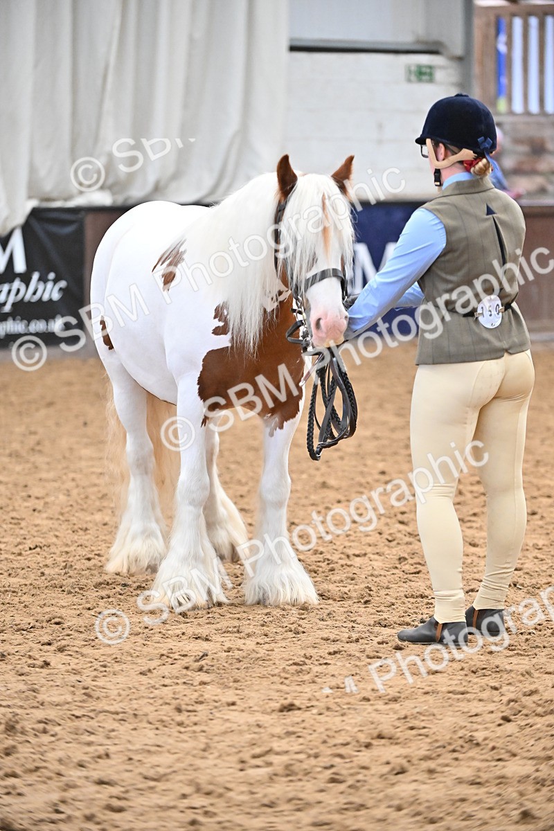 SBM_000286 - Class 10 - In Hand Coloured & Odd Coloured