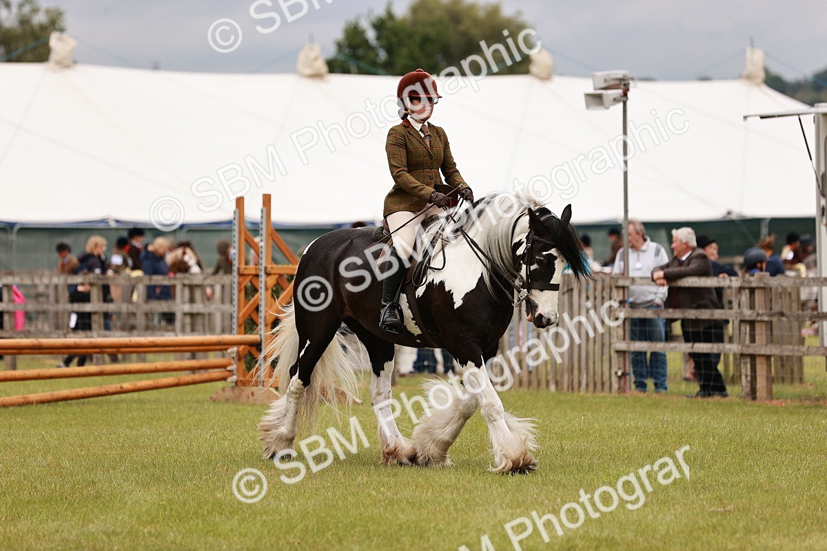 SBM_06207 - Class 39-41 TGCA In Hand and Ridden