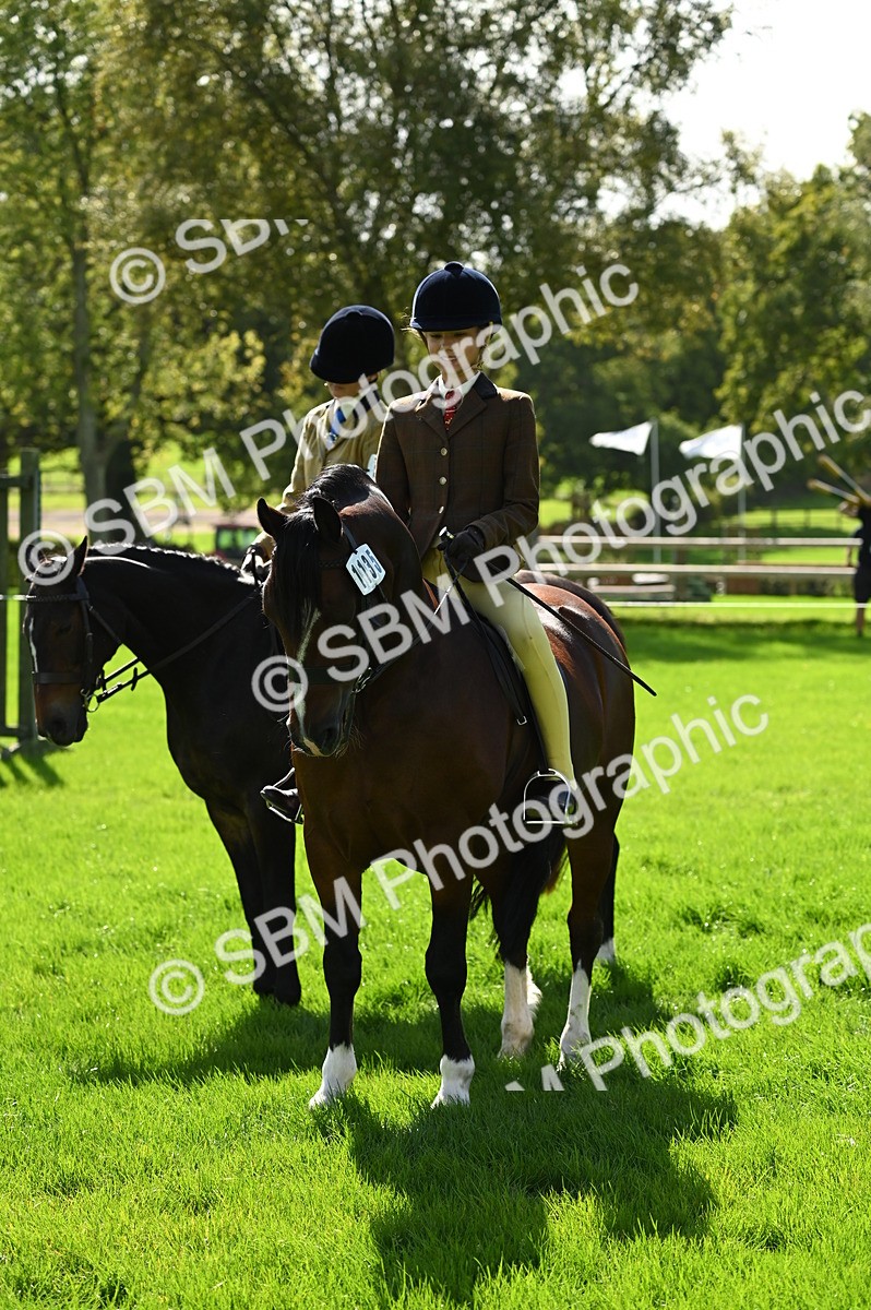 SBM_02872 - S3 - TSR Ridden Pony Showing