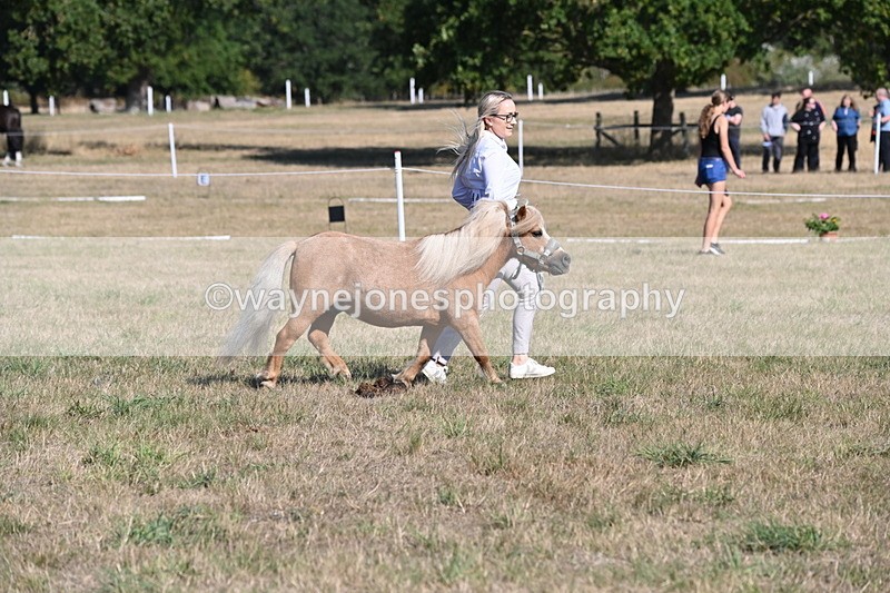 WJ6_7257 - Class 33 Rescue Pony