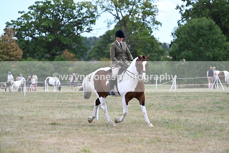 WJ7_5173 - Class 12 Ridden Cob