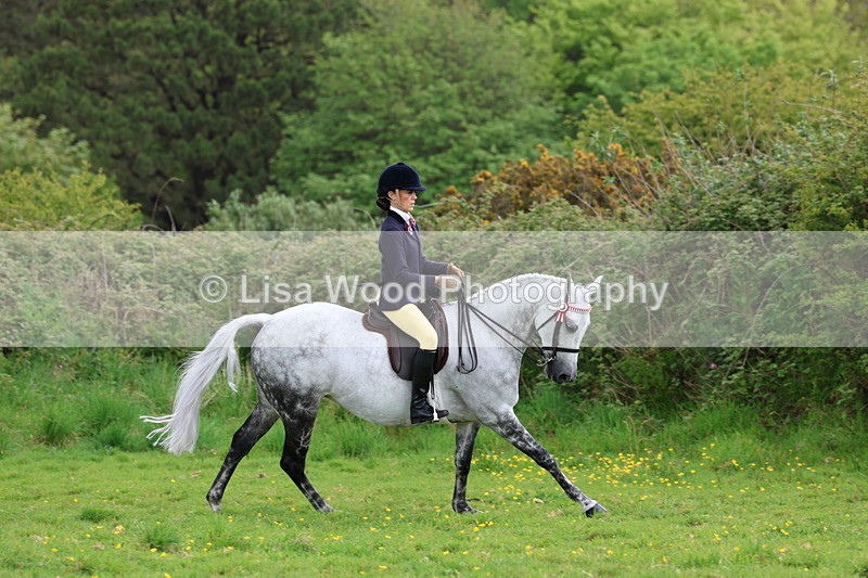 3E7A2080 - Class 11: Ridden Arab