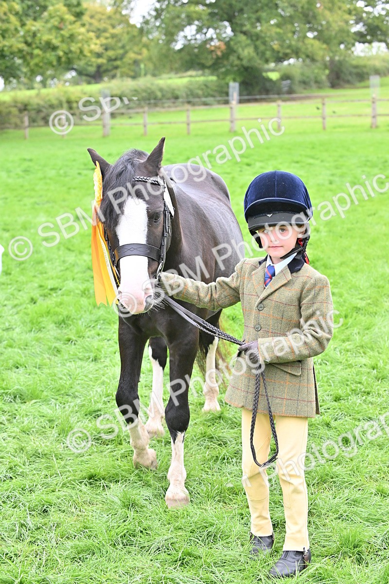 SBM_66831 - S41 - Junior Handler 8 Years & Under