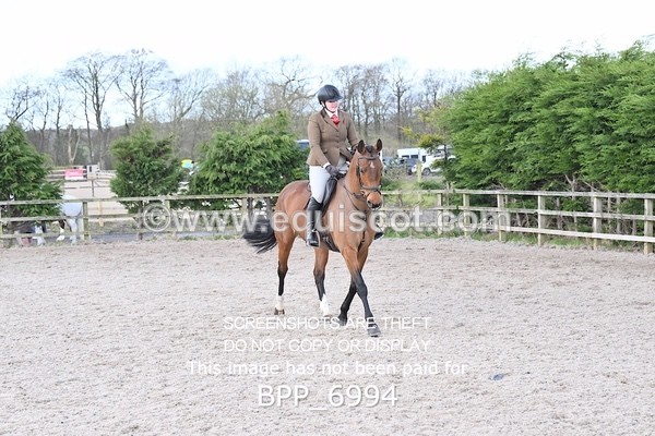 BPP_6994 - RING 1  (RIDDEN HORSES / IN HAND / VETERAN ETC)