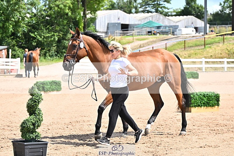 240718A-105245-01120 - Trot Up 12pm to 1pm