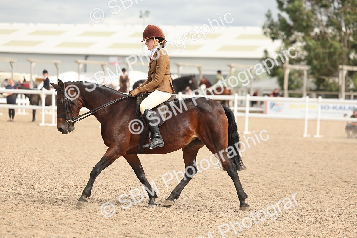SBM_18009 - Class 314 - Family Horse Pony