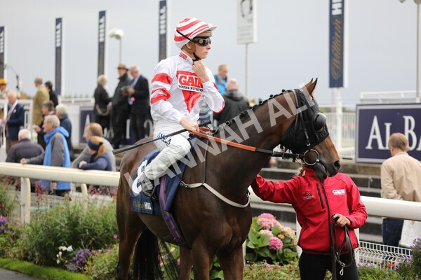 yr07102022r2-8 - Race 2 2.40pm William Hill Autumn Mile