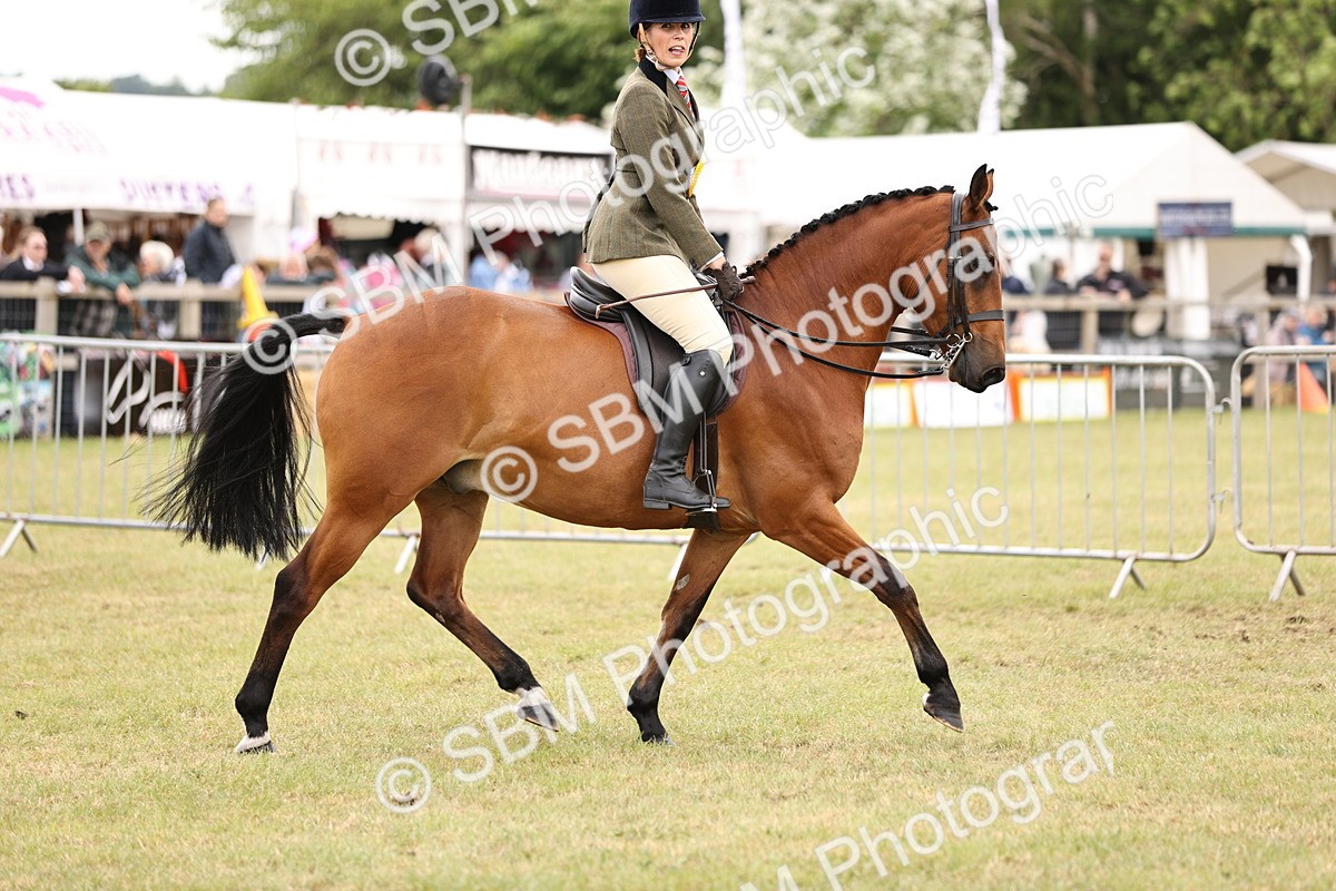 SBM_14638 - Class 88-89 - LIHS BSHA Rising Star of Ridden Hunter Type
