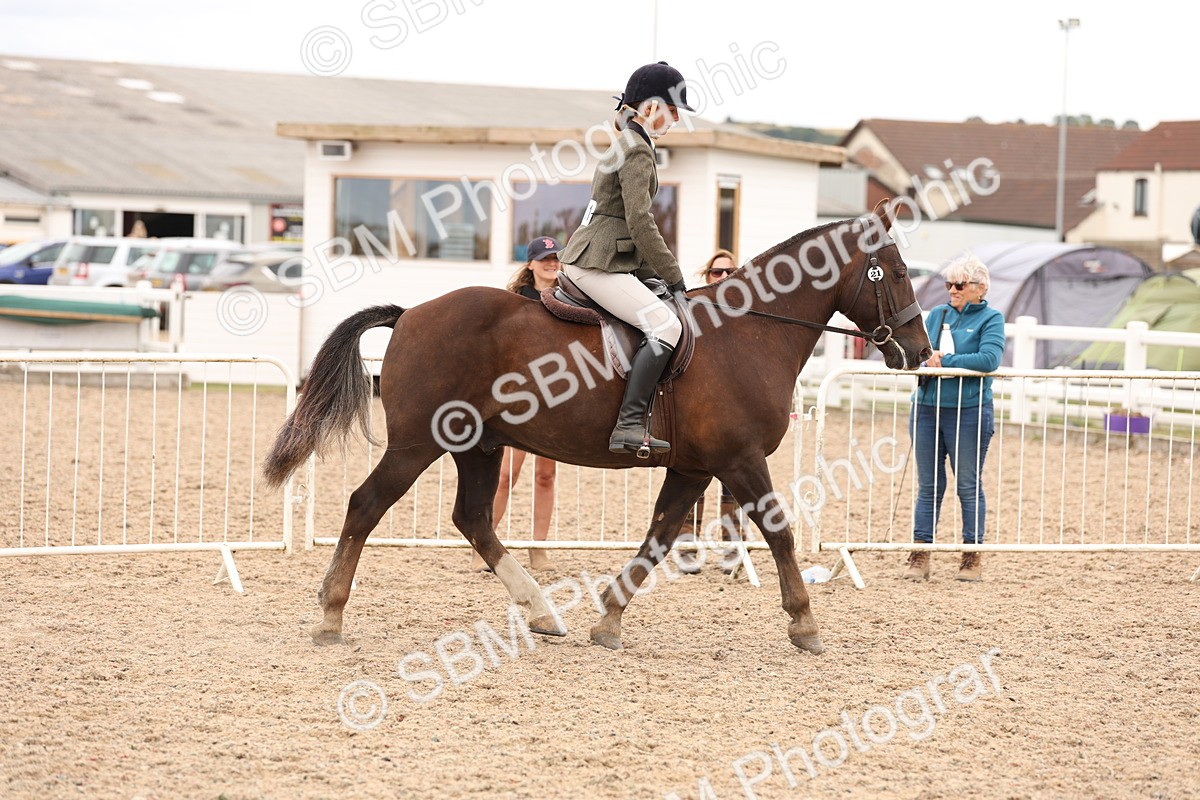 SBM_19501 - Class 215 - Ridden Show cob