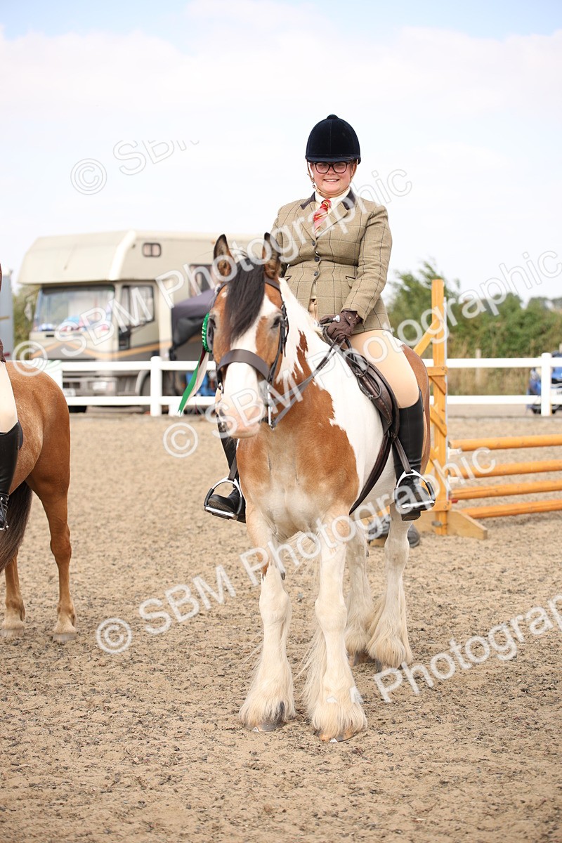 SBM_14377 - Class 407b - Working Veteran 60cm (20+)