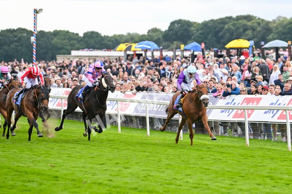 240824-Race 1-See The Fire-0973 - Race 1 1.50pm Sky Bet Strensall Stakes
