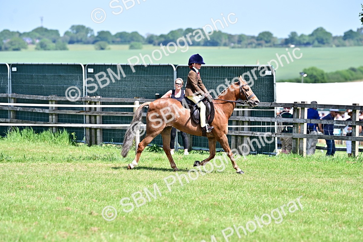 SBM_13940 - Class 95-97 - BSPS LHS Performance Ponies
