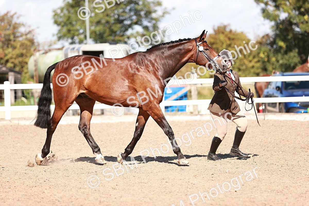 SBM_13292 - class 406 - IH Hunter