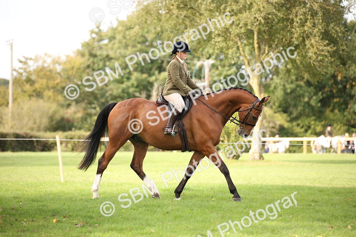 SBM_70364 - S66 - Hunter Ridden