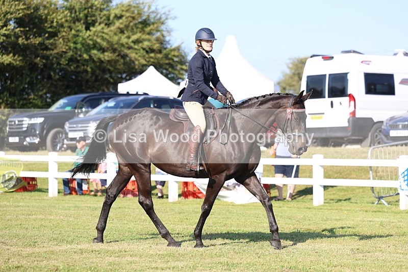 3E7A5256 - Class 2: Rising Star Large Hack/Riding Horse
