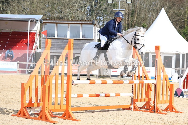 3E7A6610 - Class 4: Senior British Novice/90cm open