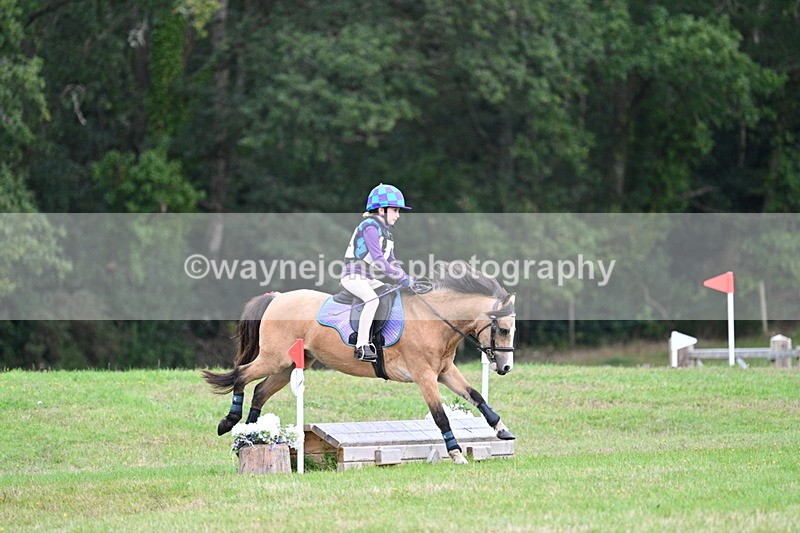 WJ7_7174 - 40cm Time 10:06 to 10:24