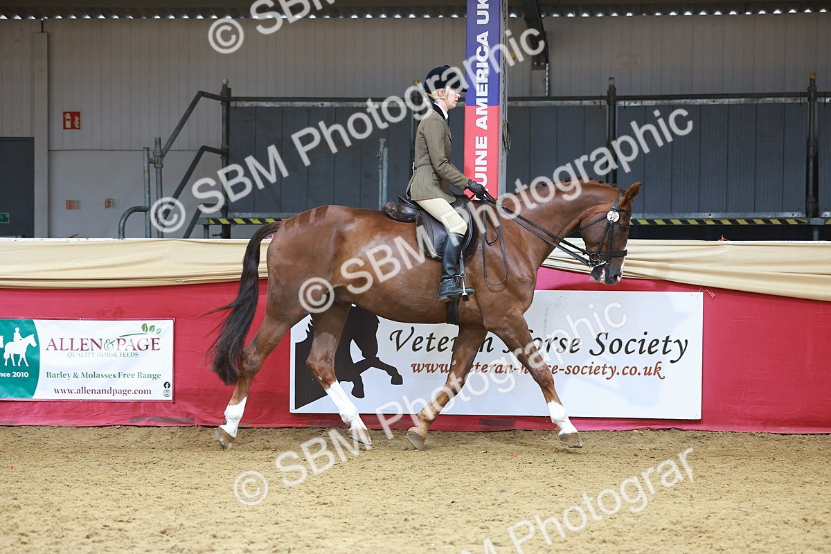 SBM_10506 - Class 103 - HOYS Veteran Qualifier - Ridden Pre Vet