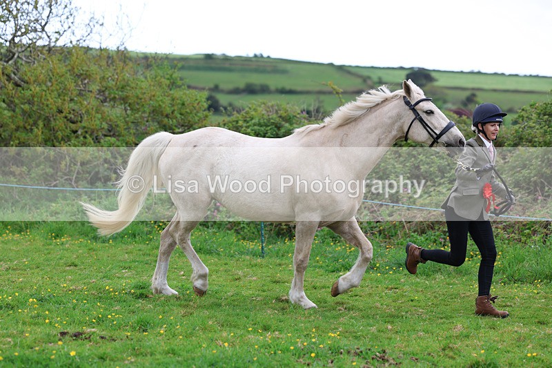 3E7A0755 - In Hand Championship
