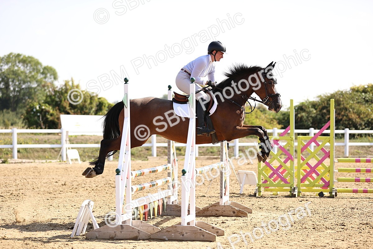 SBM_005700 - Class 9 - Senior British Novice - 90cm