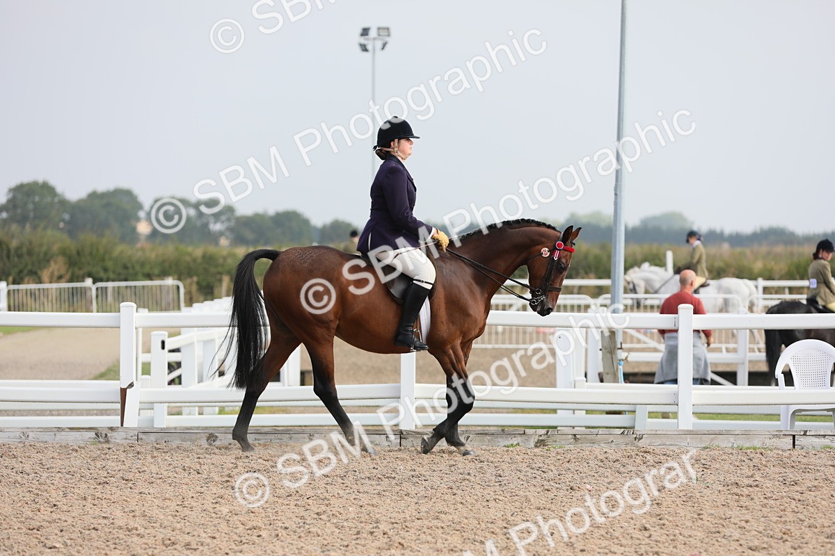 SBM_10860 - Class 304 Ridden Part Bred Horse/Pony