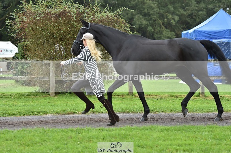 231018-124308-00473 - 056-WILLOW.BDA-Lisa.Maynard-TrotUp