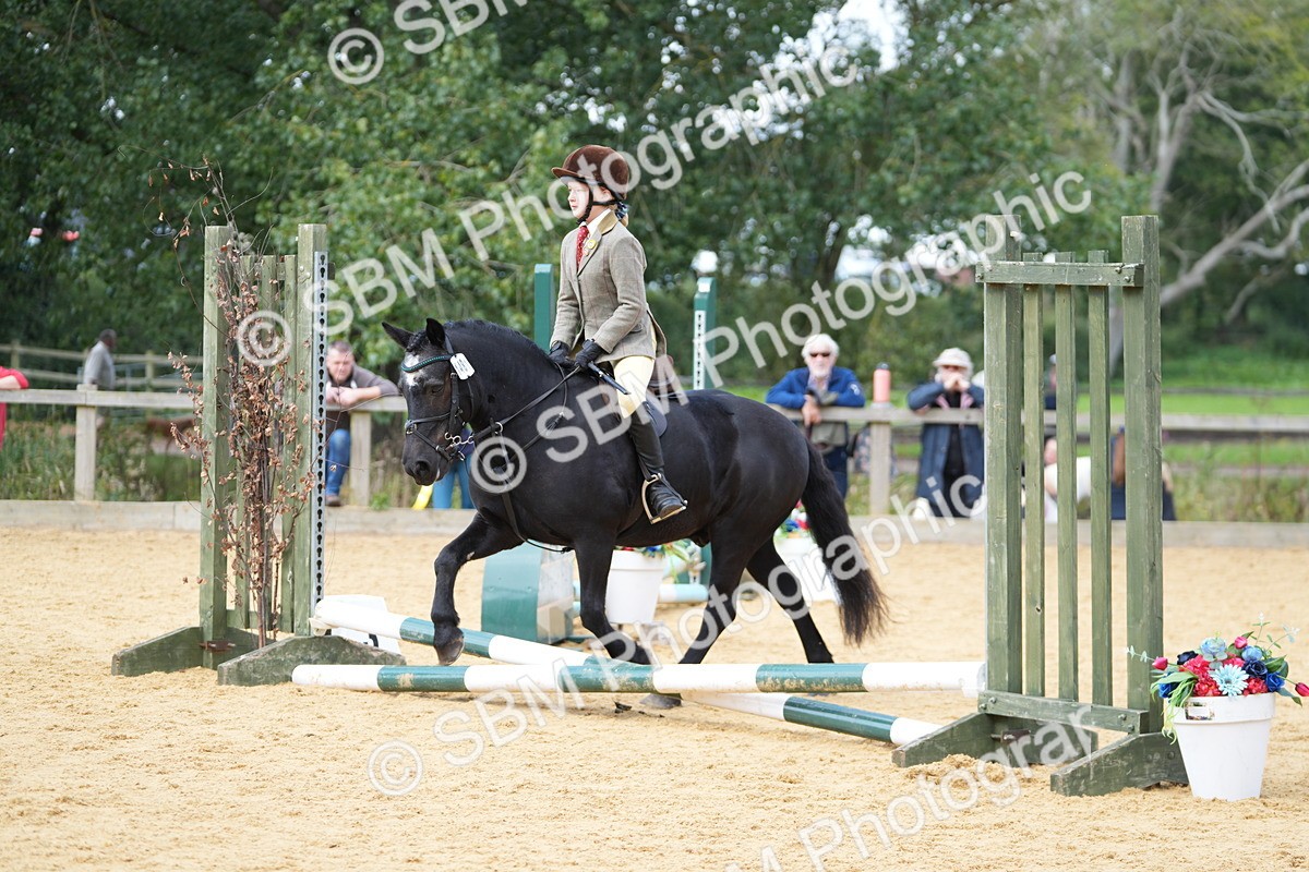 SBM_64584 - J2 - Mini Tour Junior Pony 30cm Championship