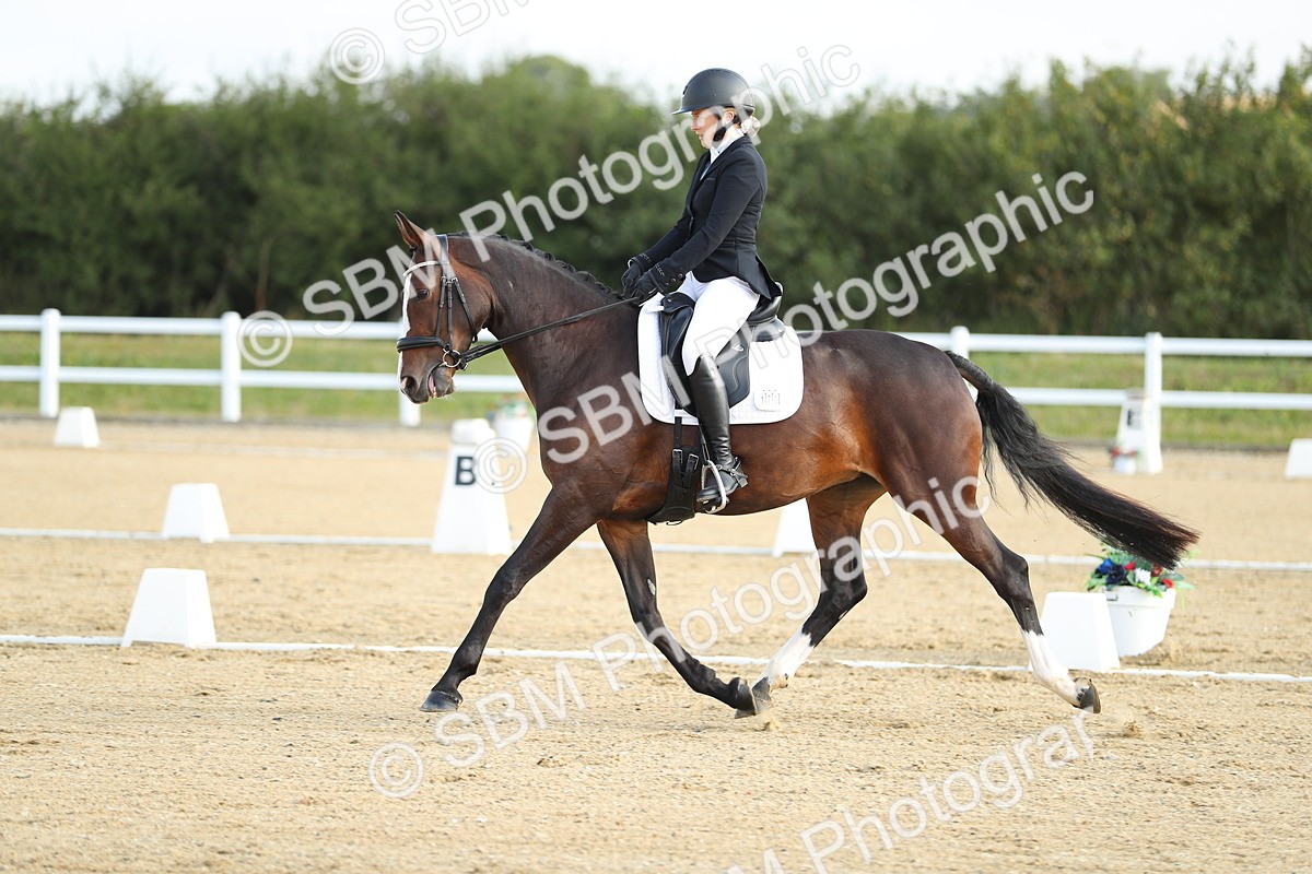 SBM_015012 - Class 13 - Novice 23 - 8,30-9.33