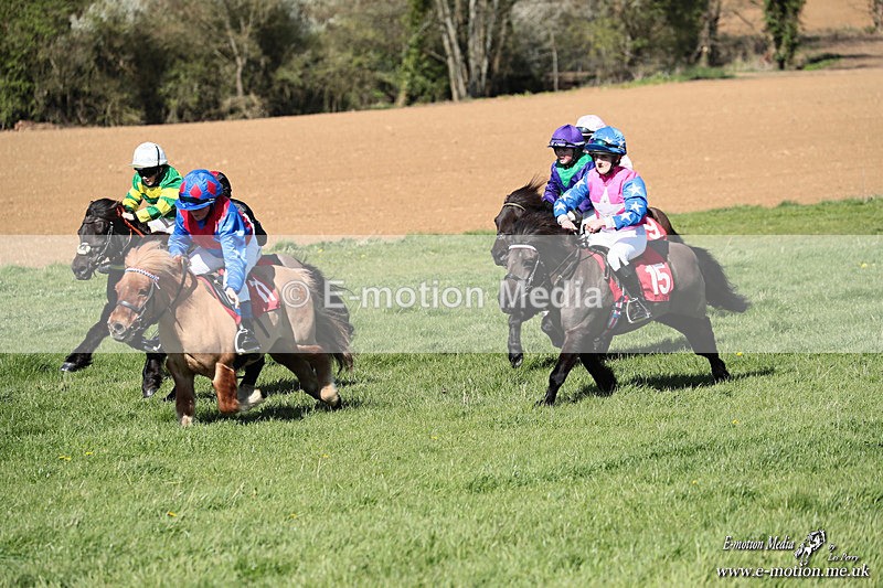 Shet 060426 290 - Shetland Pony Racing Paxford Races Easter Mon 06/04/26