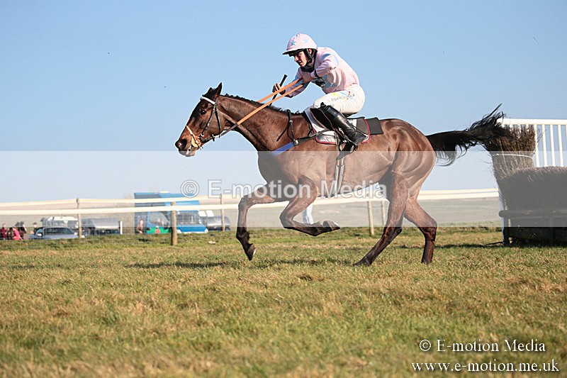 PtP 230219 451 - Vine & Craven Point-To-Point - Barbury 23/02/19