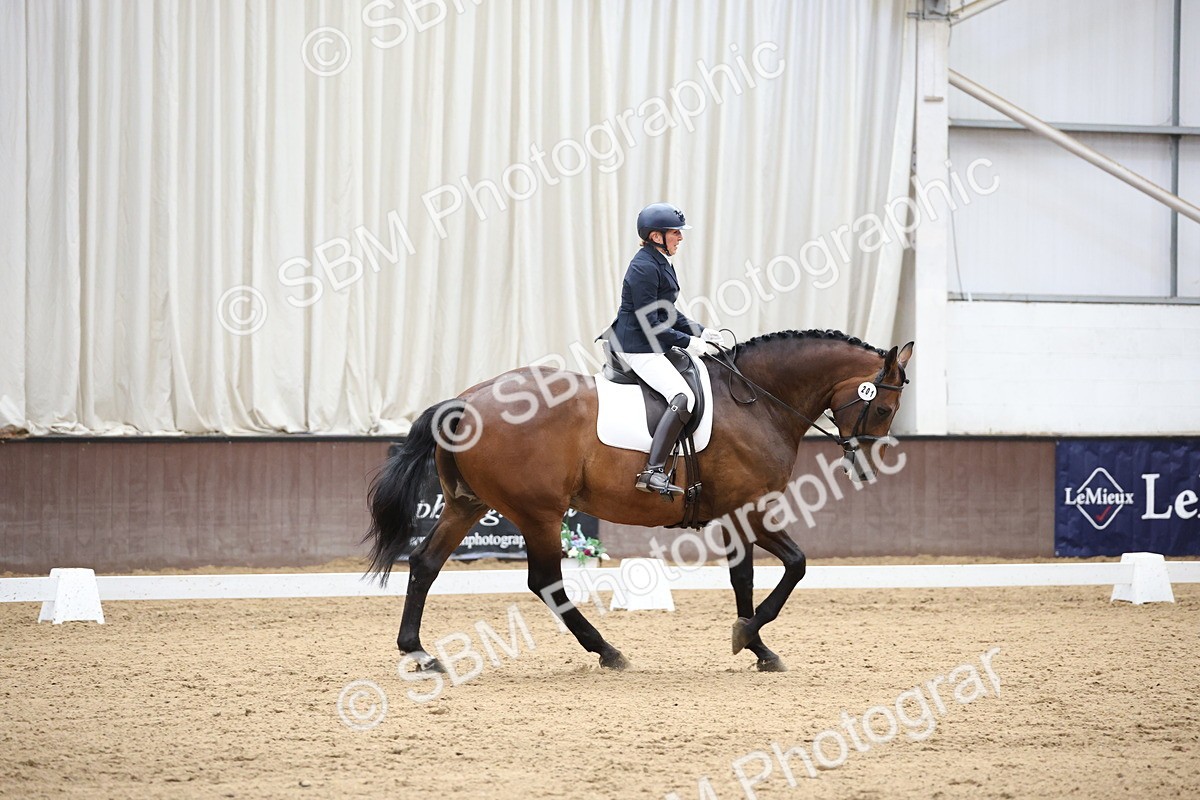 SBM_003403 - Class 5 - Novice 6 Gold - 13.05-14.00