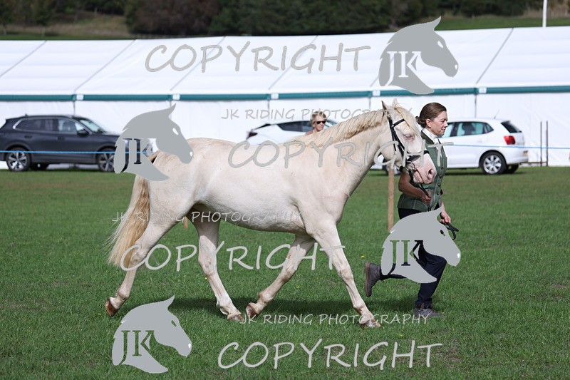 APP_2959 - Class 10a/b M&M in hand