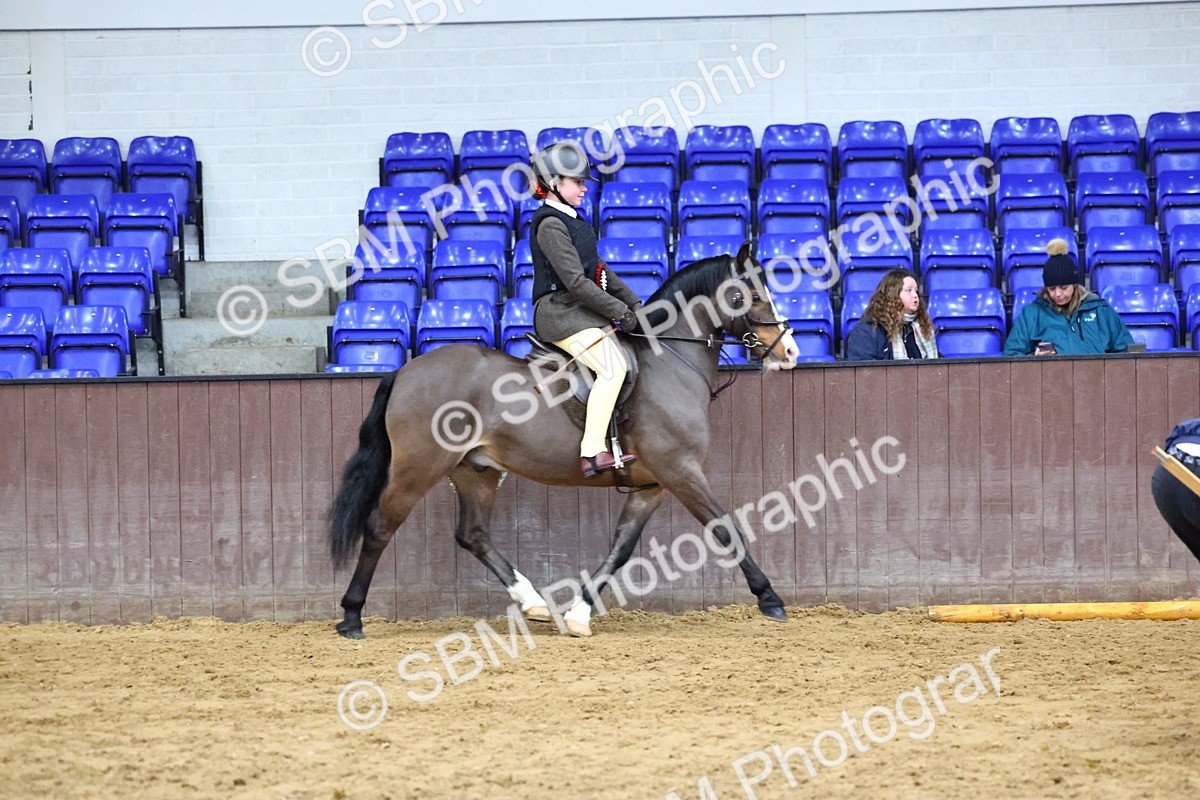 SBM_005591 - M&M Novice WHP Championship