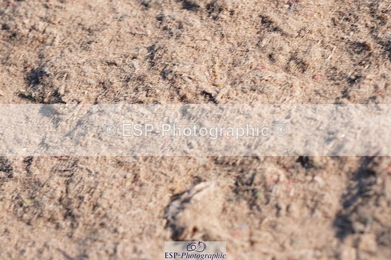 250510-175116-12351 - Cls 18 Chard Eq Derby